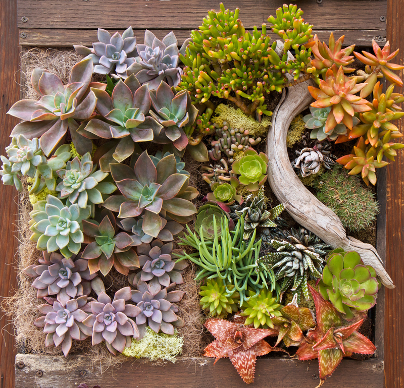 lawn maintenance Lawn